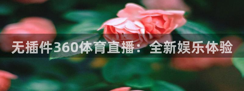 无插件360体育直播：全新娱乐体验