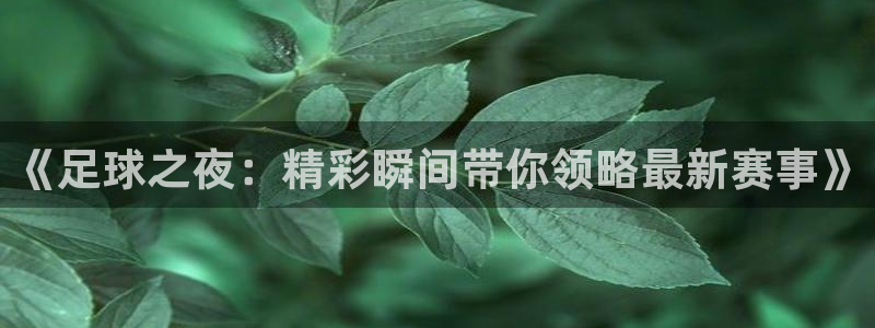 《足球之夜：精彩瞬间带你领略最新赛事》