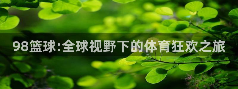 98篮球:全球视野下的体育狂欢之旅