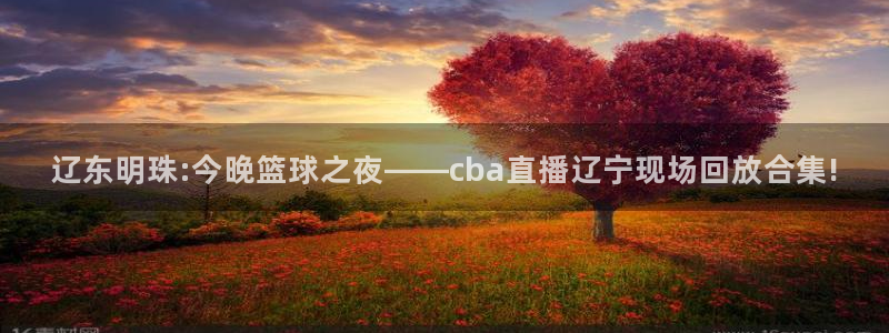 辽东明珠:今晚篮球之夜——cba直播辽宁现场回放合集!