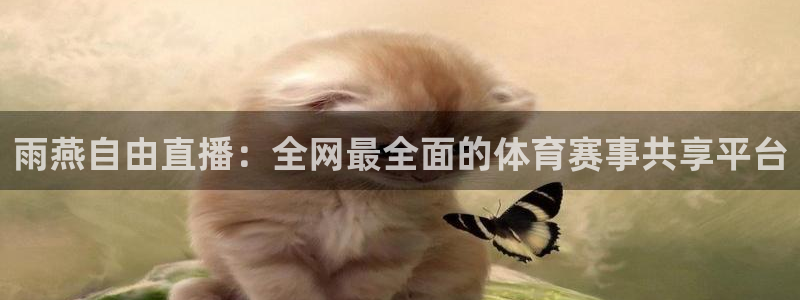 雨燕自由直播：全网最全面的体育赛事共享平台