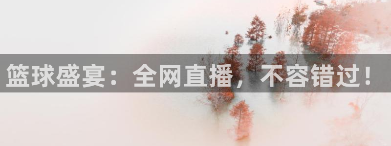 篮球盛宴：全网直播，不容错过！